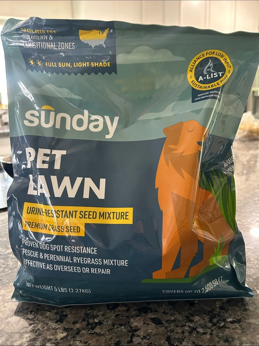Sunday All Grasses Full Sun/Light Shade Pet/Dog Spot Grass Repair Seed 5 lb